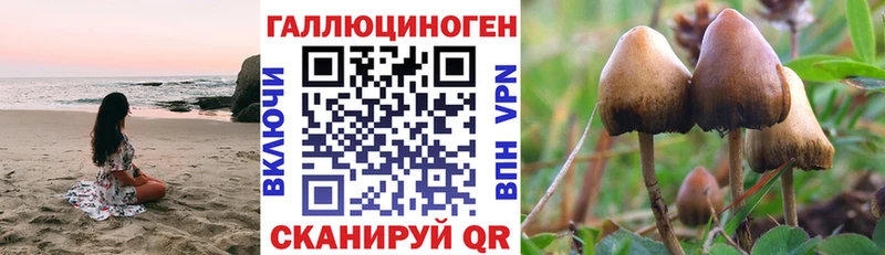Купить где  Фурманов  Галлюциногенные грибы MAGIC MUSHROOMS 